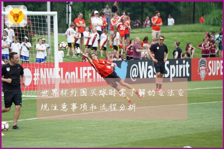 世界杯外围买球时需了解的合法合规注意事项和流程分析