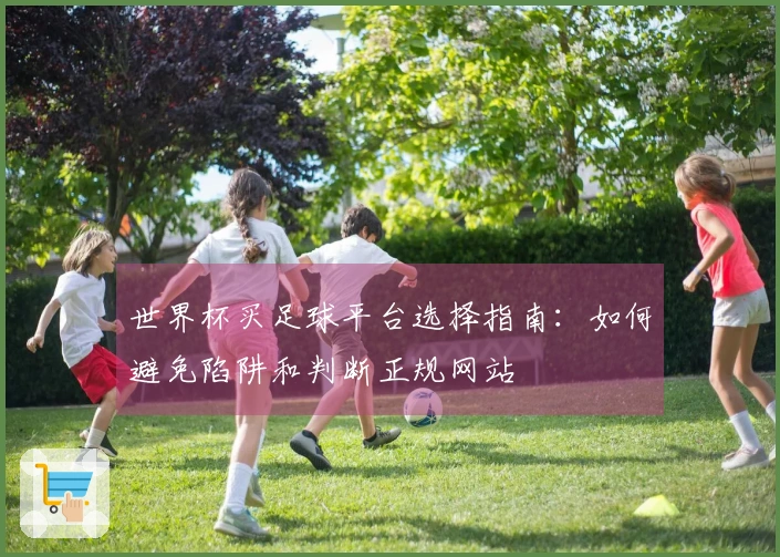 世界杯买足球平台选择指南：如何避免陷阱和判断正规网站